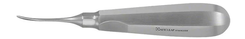 Gebogener Wurzelheber Figur 0C, 5,0 mm breit, aus Edelstahl.