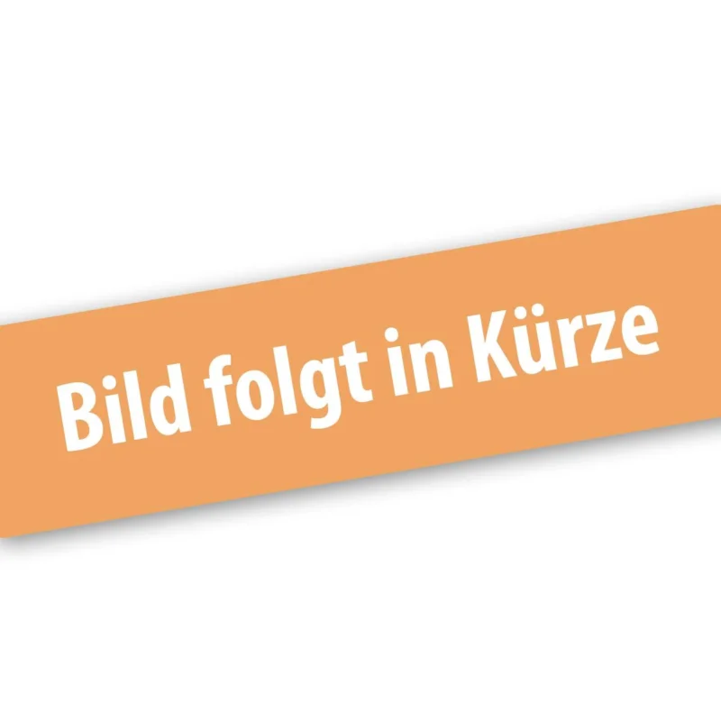 FUXTEC Starterseilzug für LBP165T