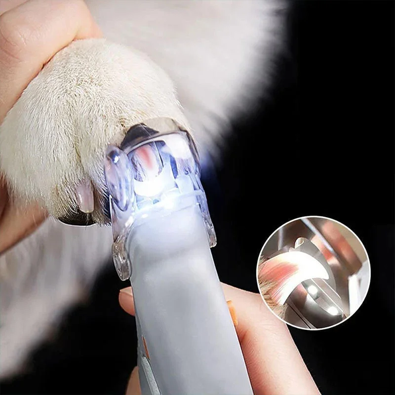 MAX - Bester Hundekratzer mit Quick-Sensoren | Sicher & Ergonomisch | Karnz