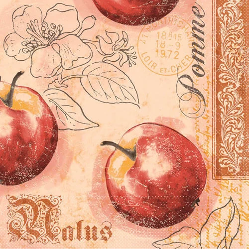 Tissue-Serviette-Malus-66636.jpg