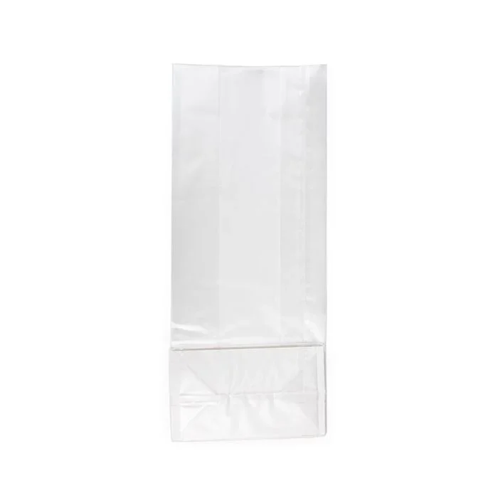 Block Bottom Bags w/ Paper Insert Frosted 12.7x7.6x30.5 cm
